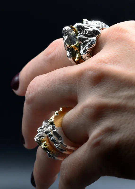 Transformacion Rings. Transformacion Rings.