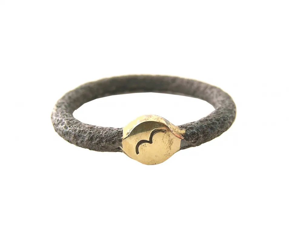 ReCycleRing aus Eisen mit Gelbgold